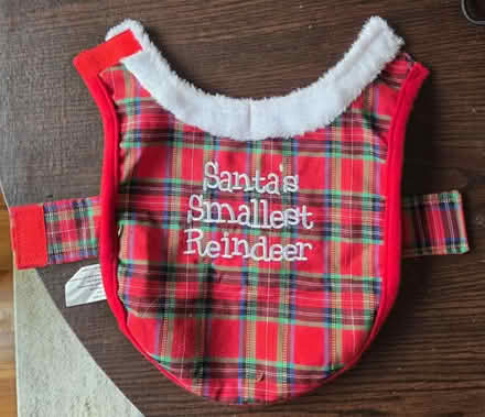 Photo of free Small Christmas pet costume (Laurel) #1