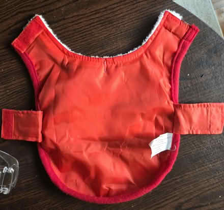 Photo of free Small Christmas pet costume (Laurel) #2