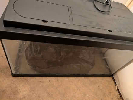 Photo of free 2 Fish Tanks - PLEASE READ DESCRIPTION BEFORE MESSAGING (Rushenden ME11) #1