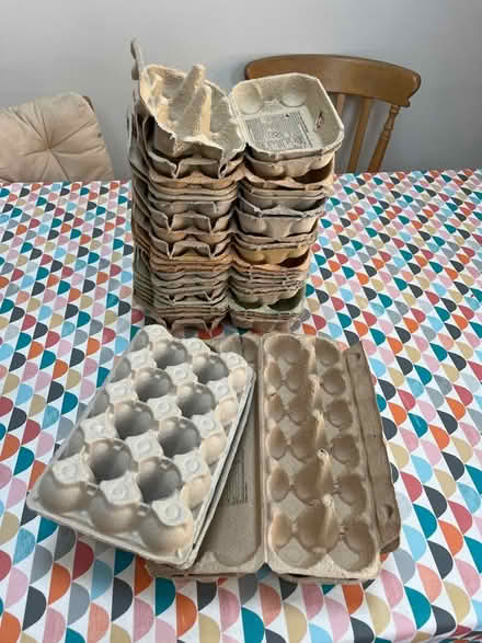 Photo of free eggboxes (Kenilworth CV8) #1