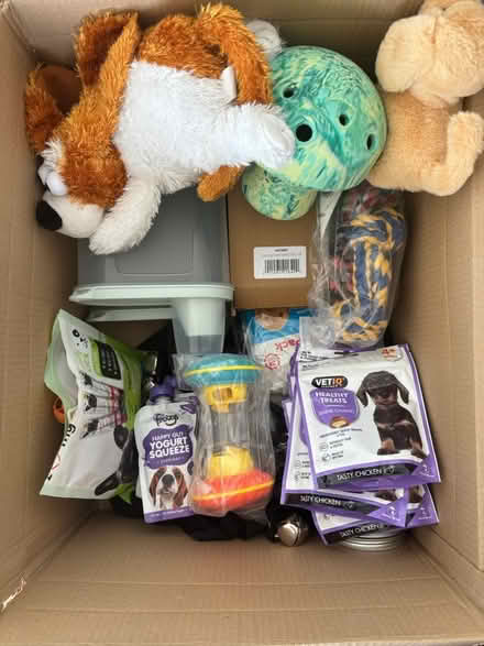 Photo of free Box of puppy / puppy items (Battersea, SW11) #1