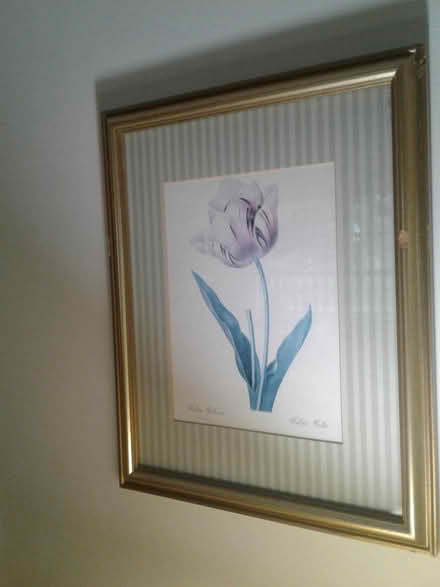 Photo of free 8x10 flower floral drawing (Deerfield Beach) #2