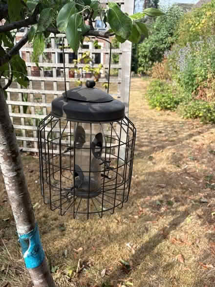 Photo of free Bird feeder (Nascot Wood WD17) #1