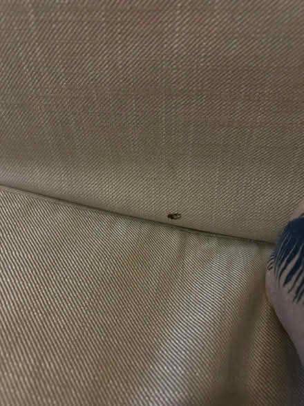 Photo of free IKEA 2 Seat Sofa (Luton LU3) #3