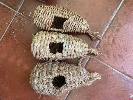 Photo of free 3 bird nests (Stone Cross BN23) #1