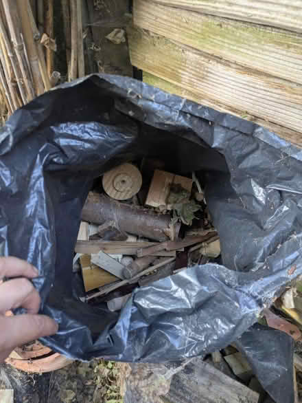 Photo of free Firewood (Sunbury on Thames TW16) #1