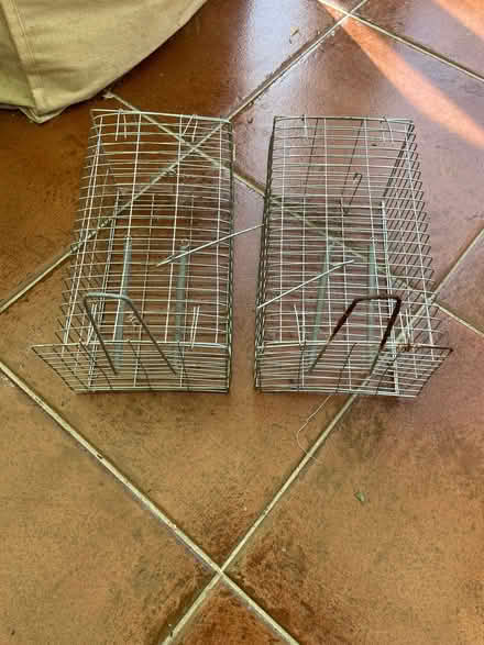 Photo of free Humane Rodent Traps (Stone Cross BN23) #1
