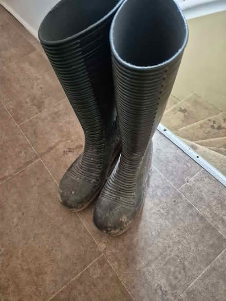 Photo of free Wellington boots (Blairgowrie PH10) #3