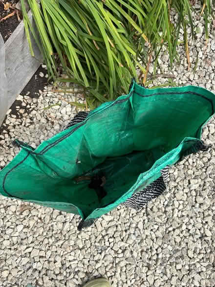 Photo of free Potato growing sack (Southwater RH13) #2