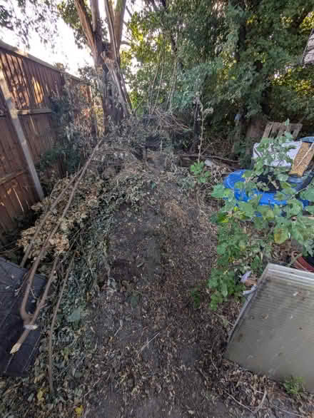 Photo of free Topsoil, ungraded (Sunbury on Thames TW16) #1