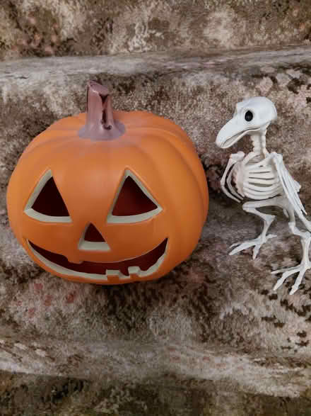 Photo of free Light Up Pumpkin (Stroud GL5) #1