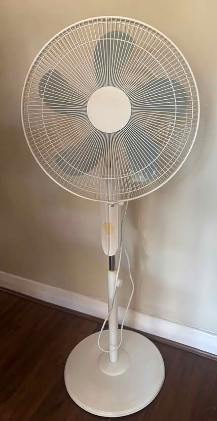 Photo of free 16” Pedestal fan (Twickenham TW2) #1