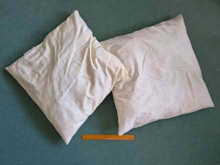 Photo of free Two large used cushion inners (Stonehouse GL10) #1