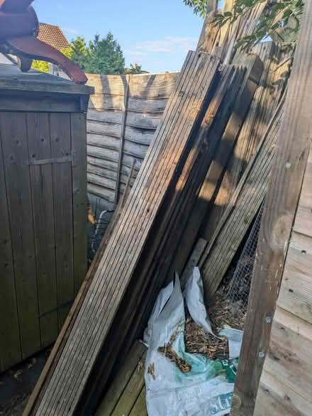 Photo of free Firewood (Sunbury on Thames TW16) #4