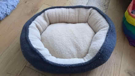 Photo of free Cat or dog bed (Woodside CR0) #1