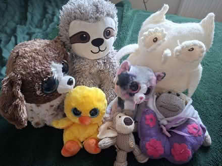 Photo of free Soft toys 3 (Southwark SE1) #1