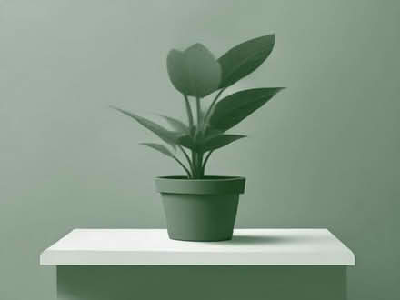 Photo of Indoor or outdoors plants (Wythenshawe M22) #1