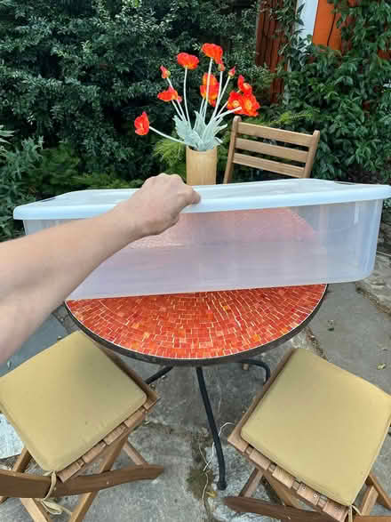Photo of free Large plastic storage containers (Green Lake) #2