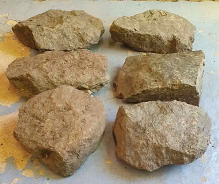 Photo of free Garden rockery stones (Nanpantan LE11) #1