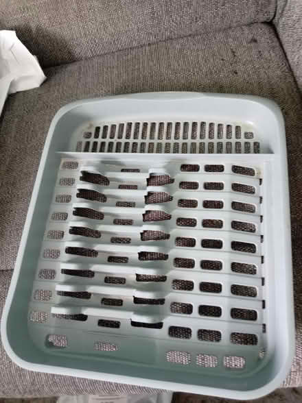 Photo of free Salad box, and drainer (Maidenhead SL6) #3
