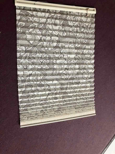 Photo of free LACE blinds (Britannia/Terry Fox) #1
