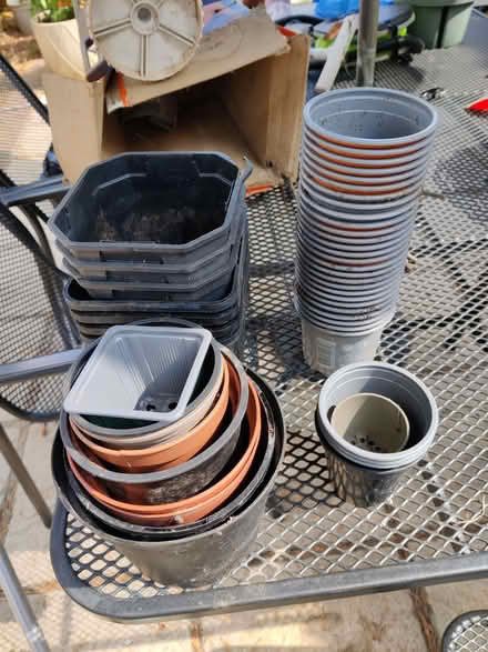 Photo of free Selection of small/medium flower pots (Hanworth RG12) #1