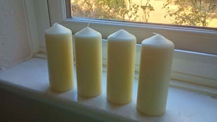 Photo of free Four Candles Fork Handles (The Nurserylands TW12) #1