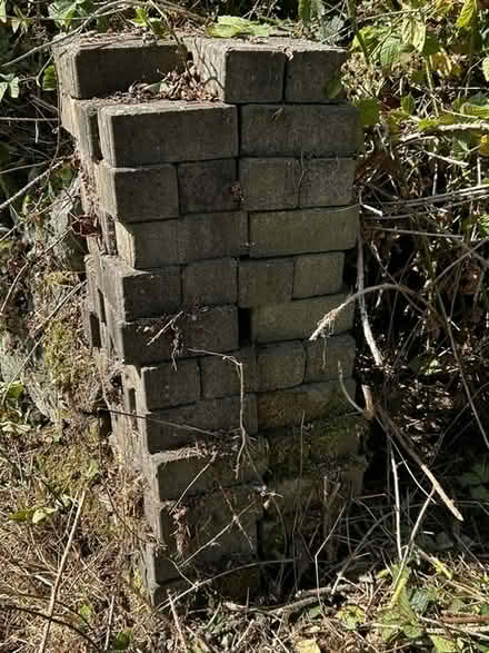 Photo of free paving blocks (Holbrook DE56) #3
