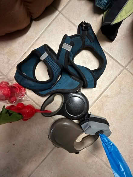 Photo of free Supplies for Small Dogs (Greenwich CT) #3