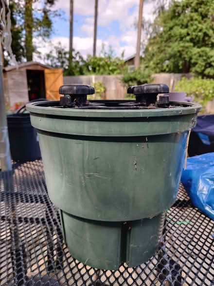 Photo of free Christmas Tree Stand/pot for real tree (Hanworth RG12) #1