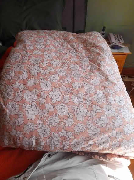 Photo of free Double duvet with cover (Killamarsh S21) #1