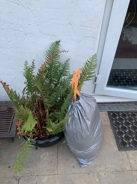 Photo of free Clean good quality loft insulation x 10 medium bags (Wheathampstead AL4) #2