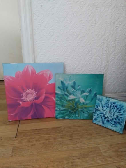 Photo of free Wall art (M6 5qy) #2