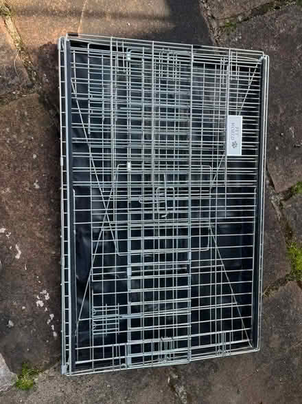 Photo of free dog travel crate (Helton CA10) #3
