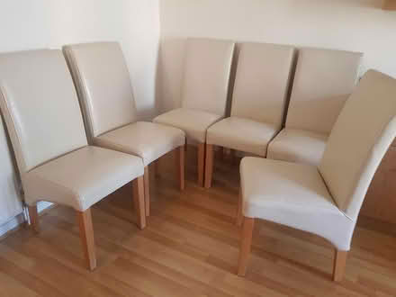 Photo of free Dining Chairs (Bushey WD23) #1