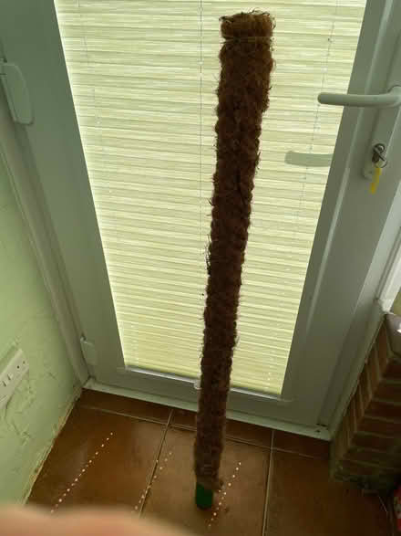 Photo of free House plant support pole (Stone Cross BN23) #1