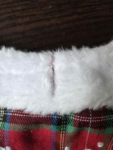Photo of free Small Christmas pet costume (Laurel) #4