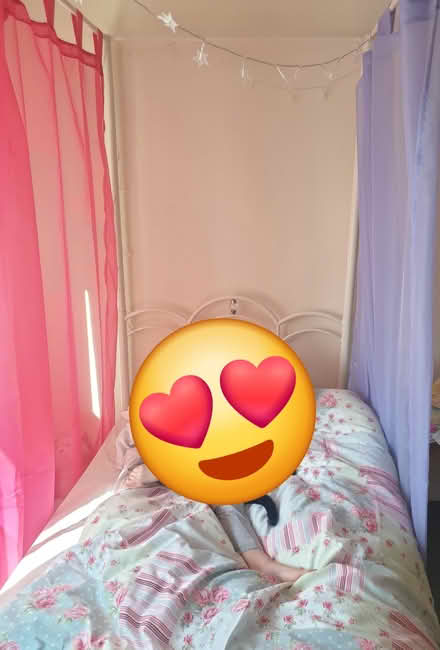 Photo of free 4 poster metal single bed (Codnor DE5) #2