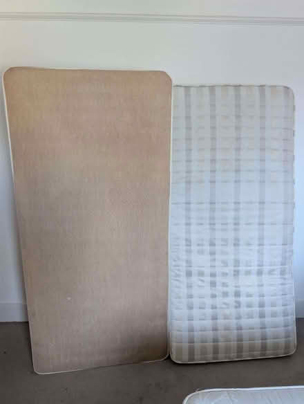Photo of free Single bed (Leytonstone E11) #1