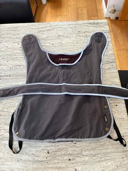 Photo of free Dog Coat Large (Near Forest School RH13) #1