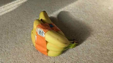 Photo of free Bananas (Leybourne) #1