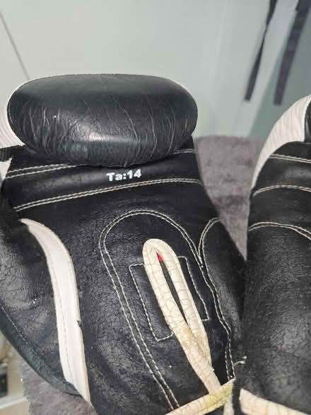 Photo of free Boxing Gloves (Greenwich Peninsula SE10) #3