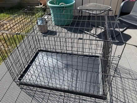 Photo of free Dog crates - 1 large and 1 medium (KT6 Surbiton) #3