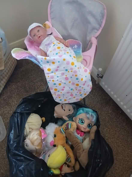 Photo of free bag of girls toys age 3+ (Telford TF3) #1