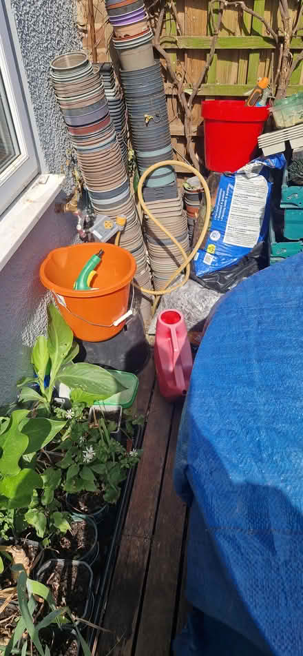 Photo of free Plastic pots (New Addington CR0) #1