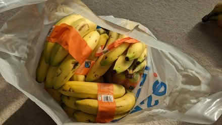 Photo of free Bananas (Leybourne) #2