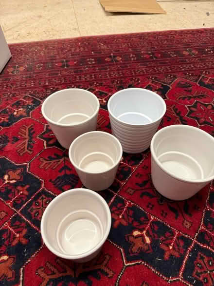 Photo of free Five small indoor plant pots (Woofferton SY8) #2