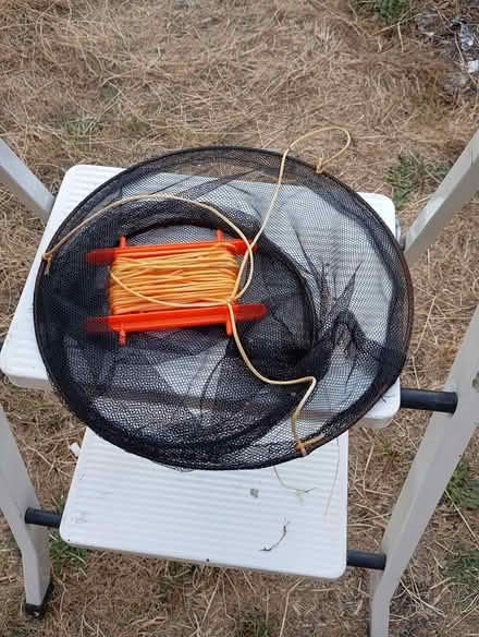 Photo of free Crab Bucket (Parkstone BH14) #1