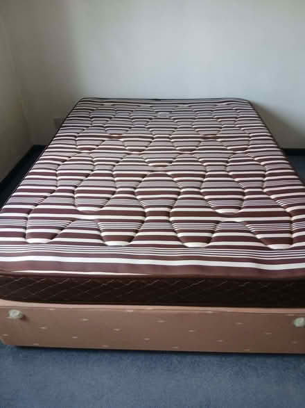 Photo of free Double bed (North Ascot SL5) #1