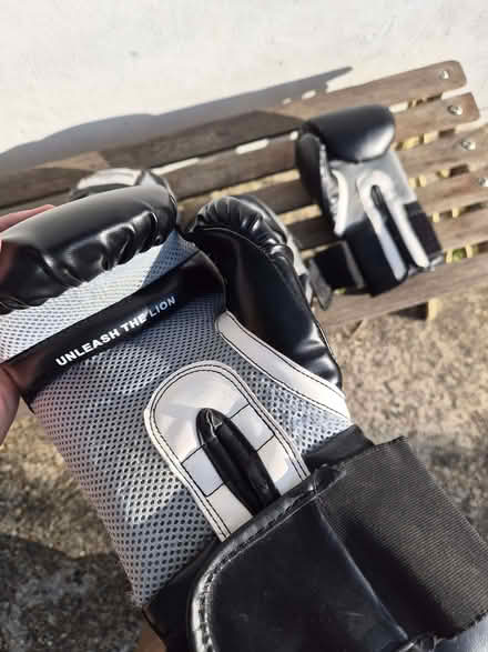 Photo of free Boxing gloves & pads (Charlton SE18) #2